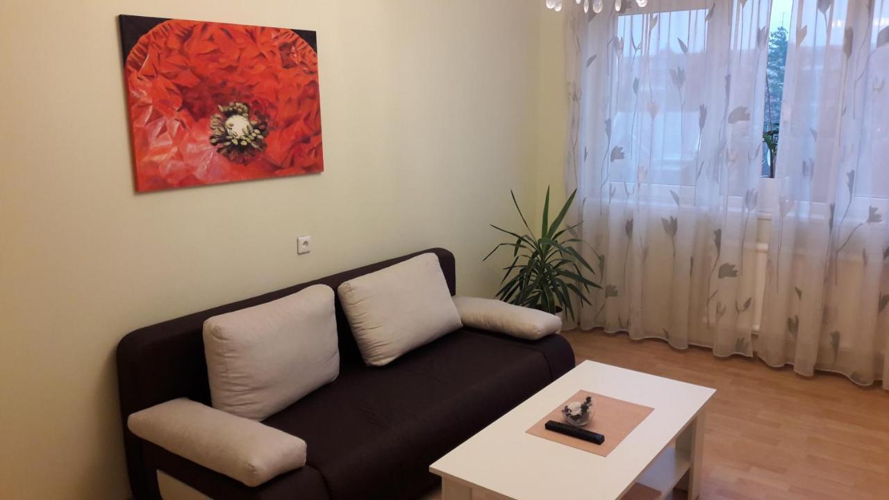 Grazinos Apartamentai Panevėžys Εξωτερικό φωτογραφία